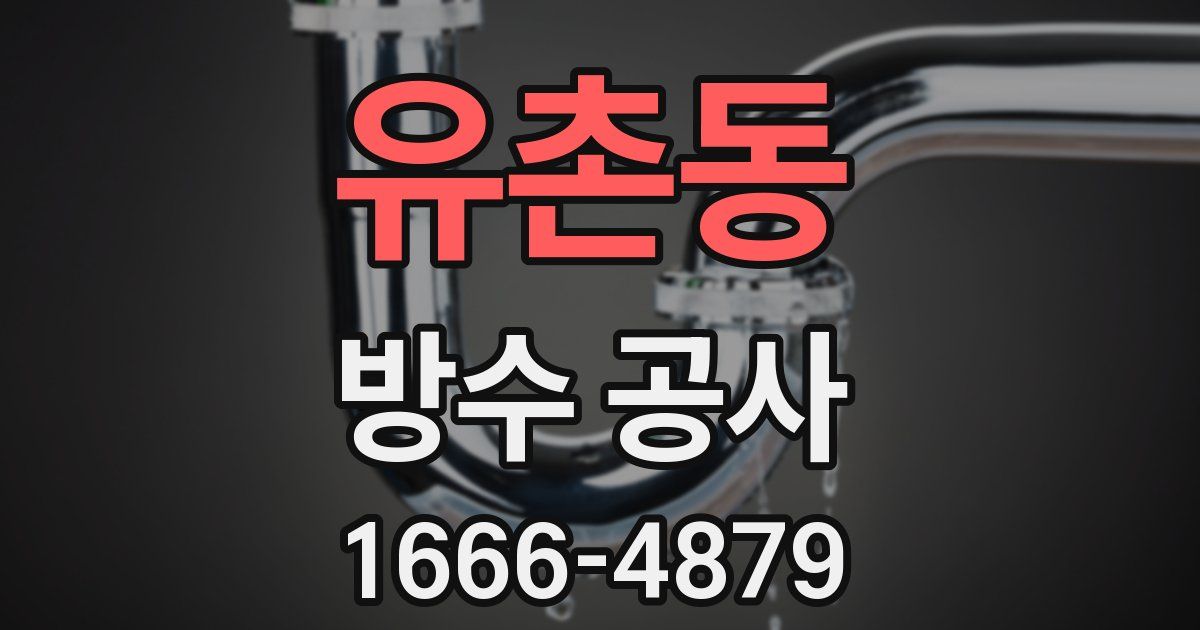 유촌동 방수 공사