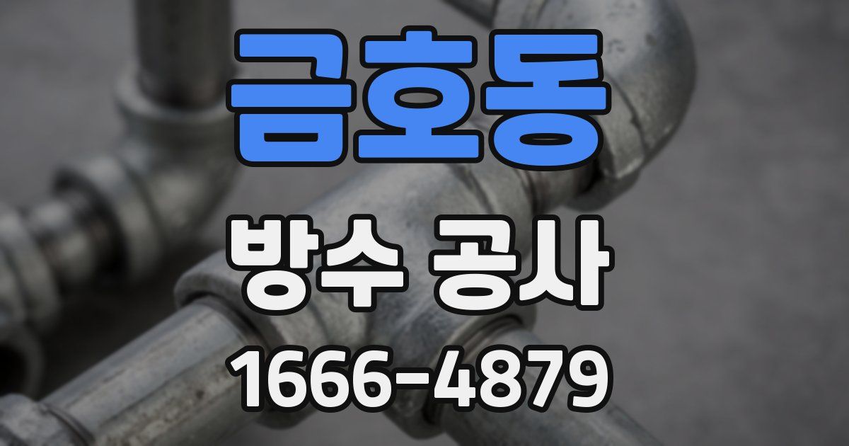 금호동 방수 공사