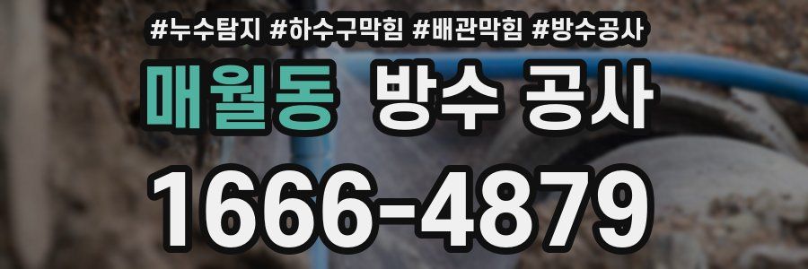 매월동 방수 공사