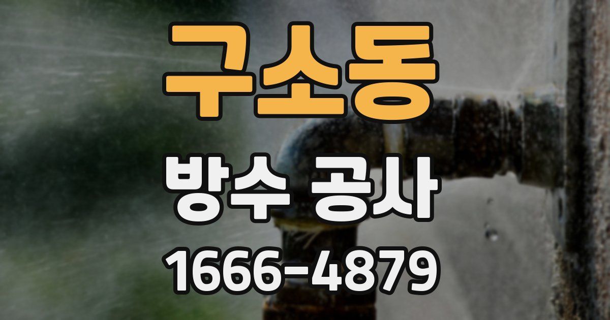 구소동 방수 공사