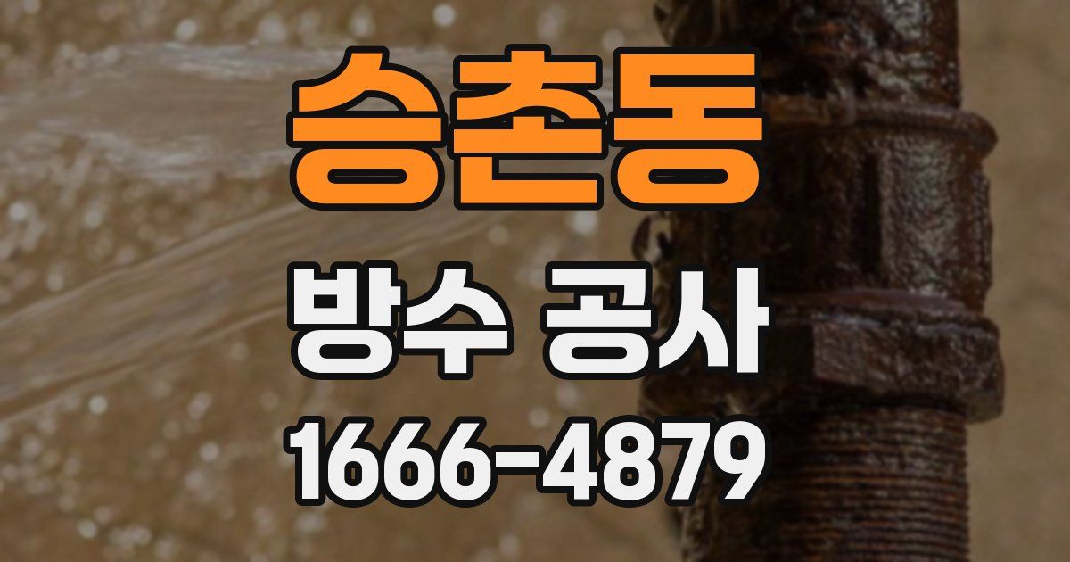 승촌동 방수 공사