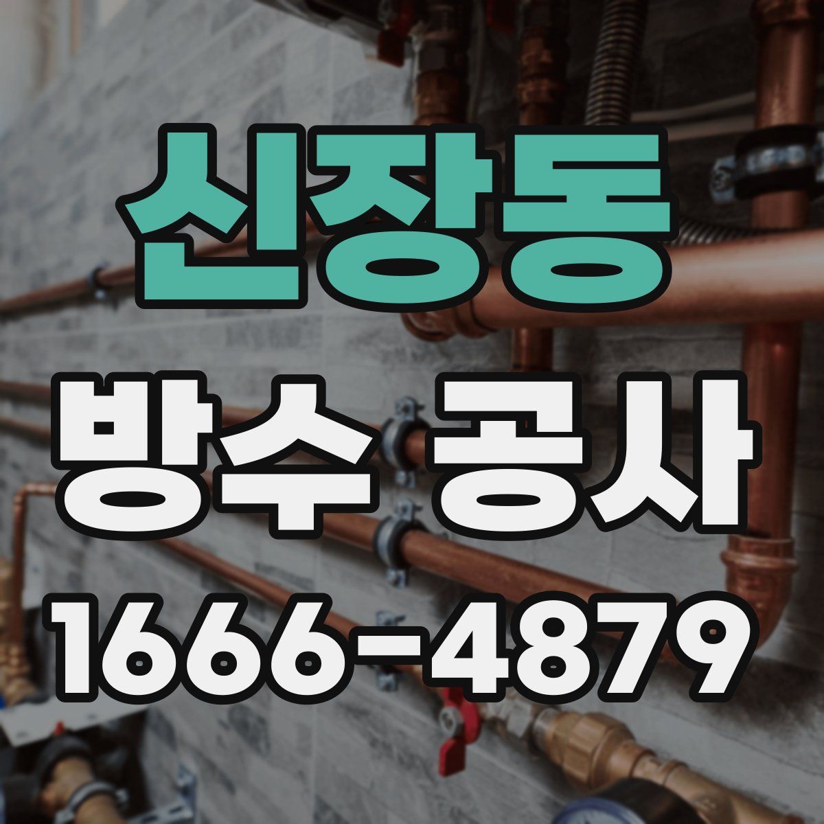 신장동 방수 공사