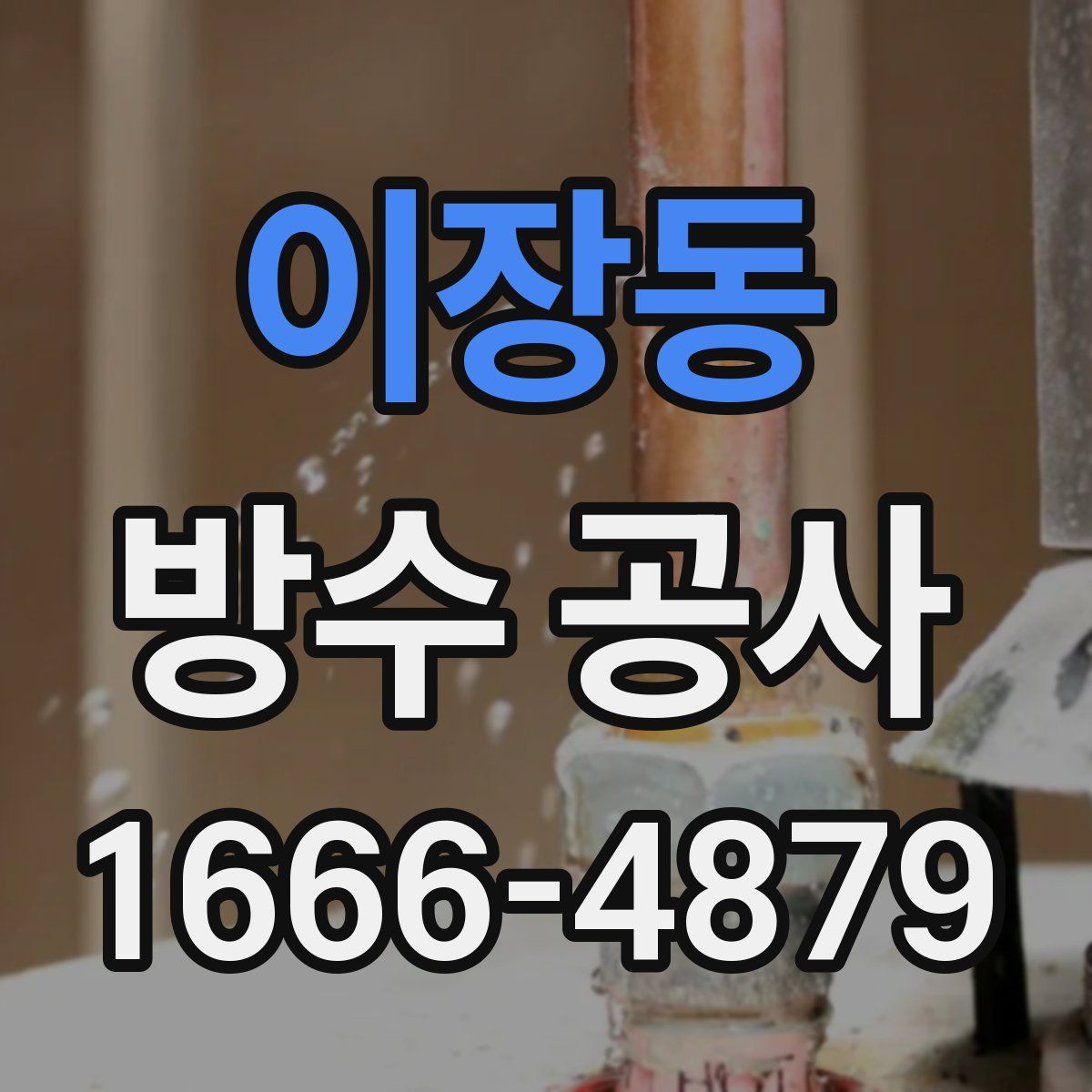 이장동 방수 공사