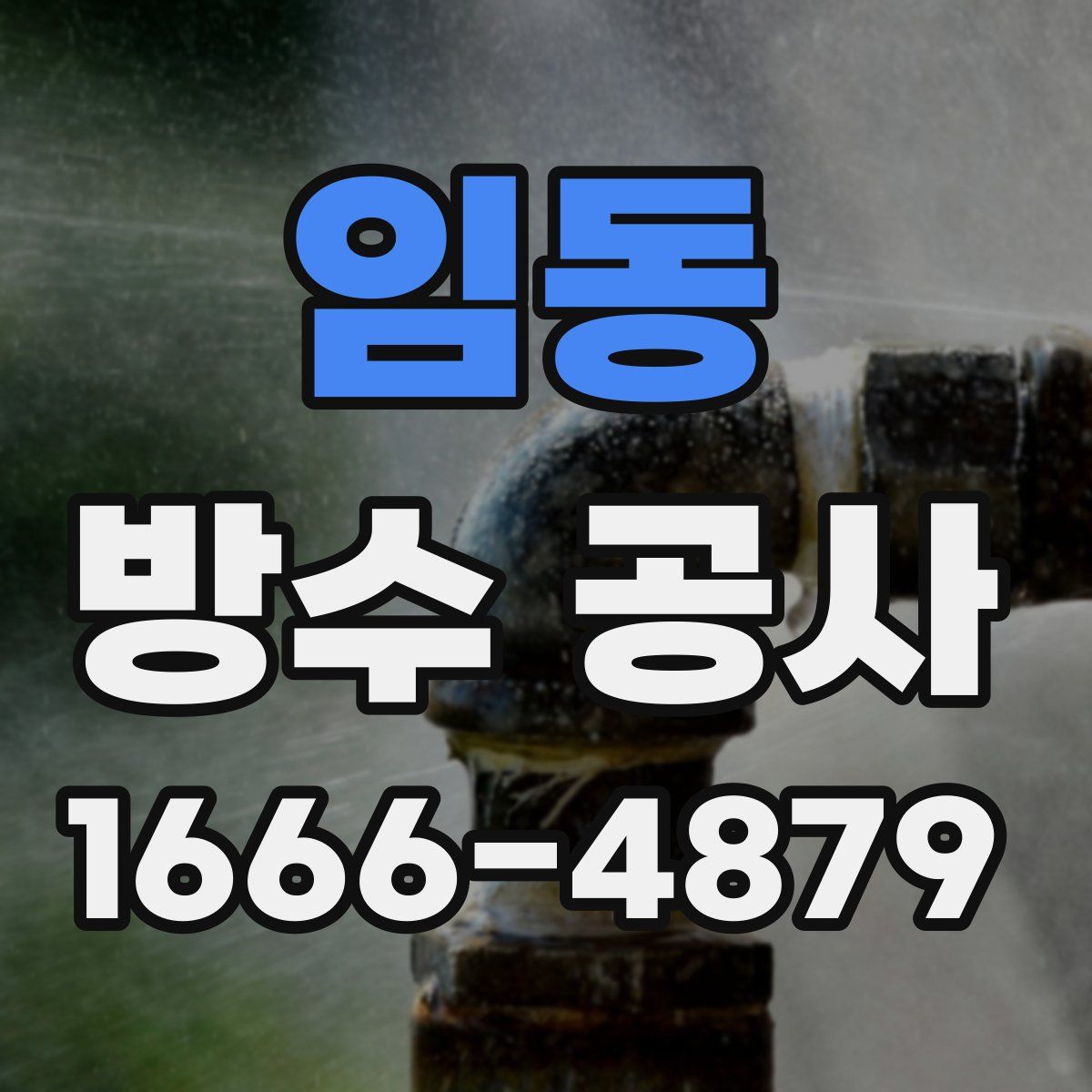 임동 방수 공사