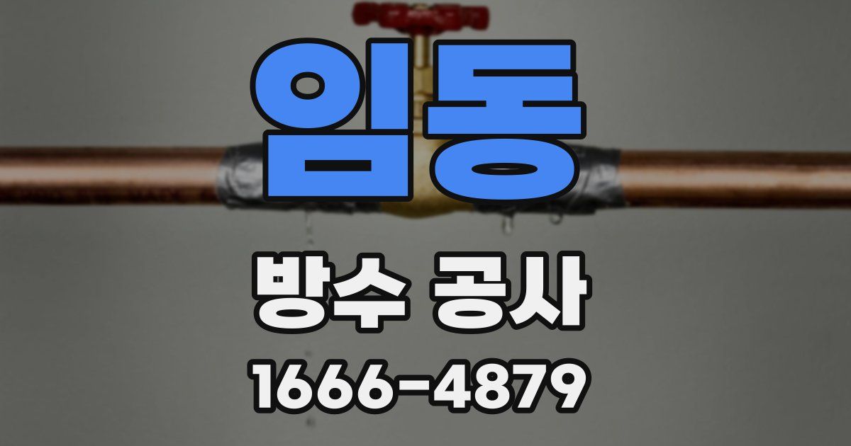 임동 방수 공사