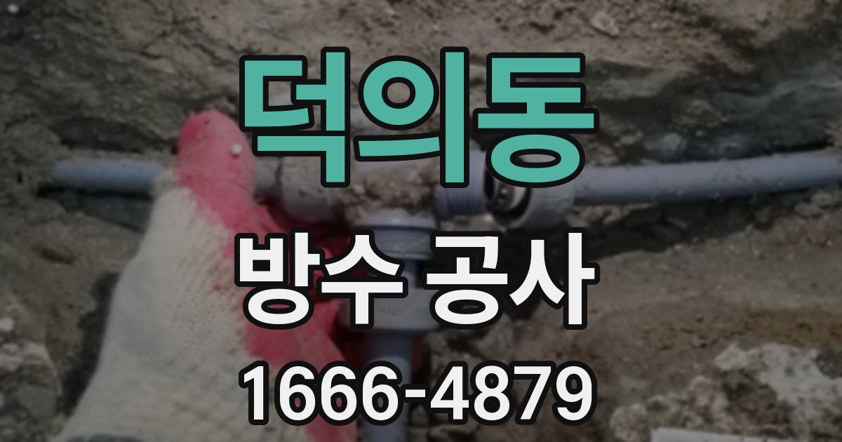 덕의동 방수 공사