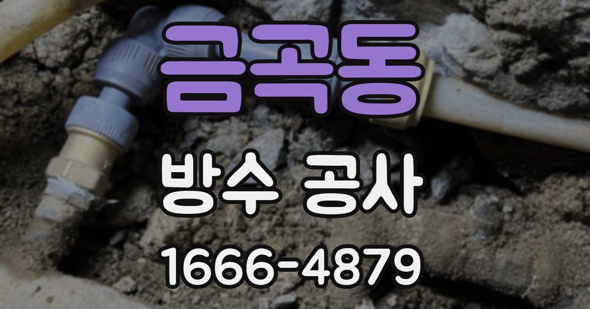 금곡동 방수 공사