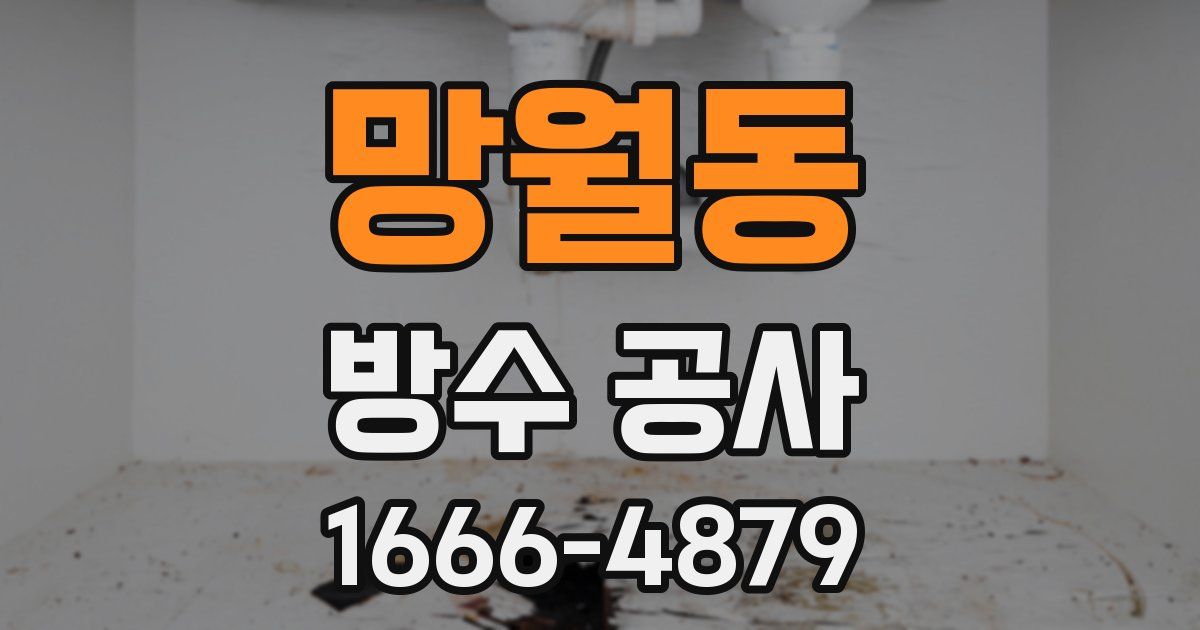 망월동 방수 공사