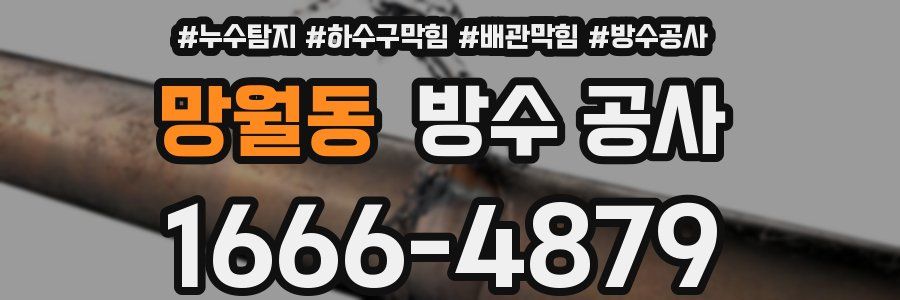망월동 방수 공사