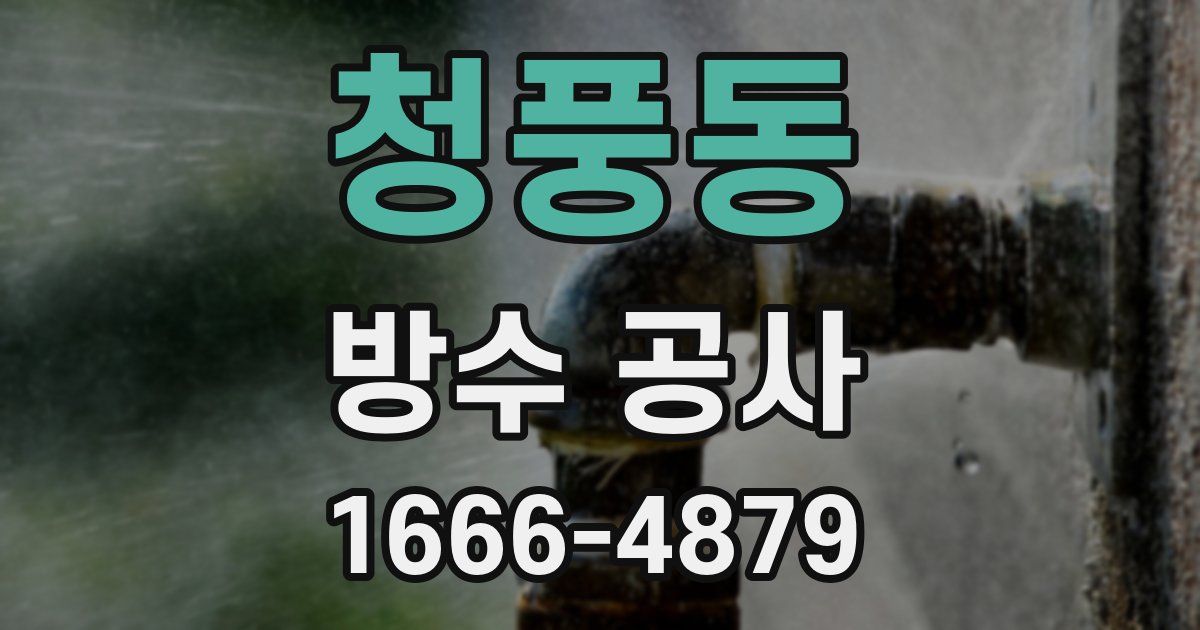 청풍동 방수 공사