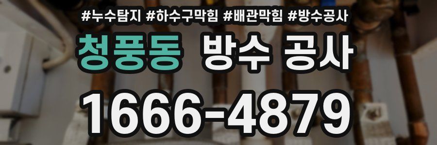 청풍동 방수 공사