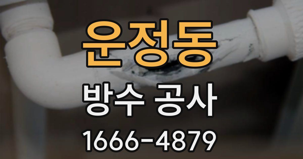 운정동 방수 공사