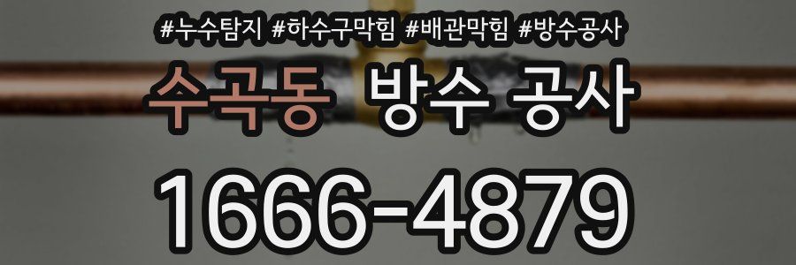 수곡동 방수 공사