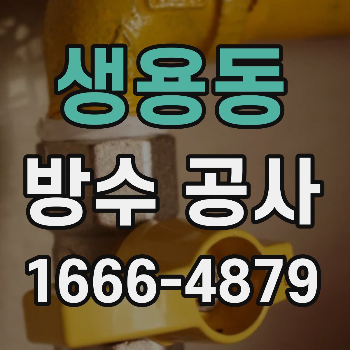 생용동 방수 공사
