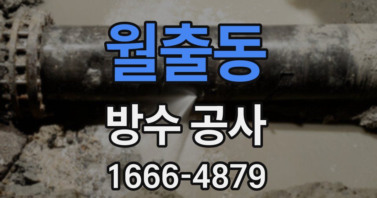 월출동 방수 공사