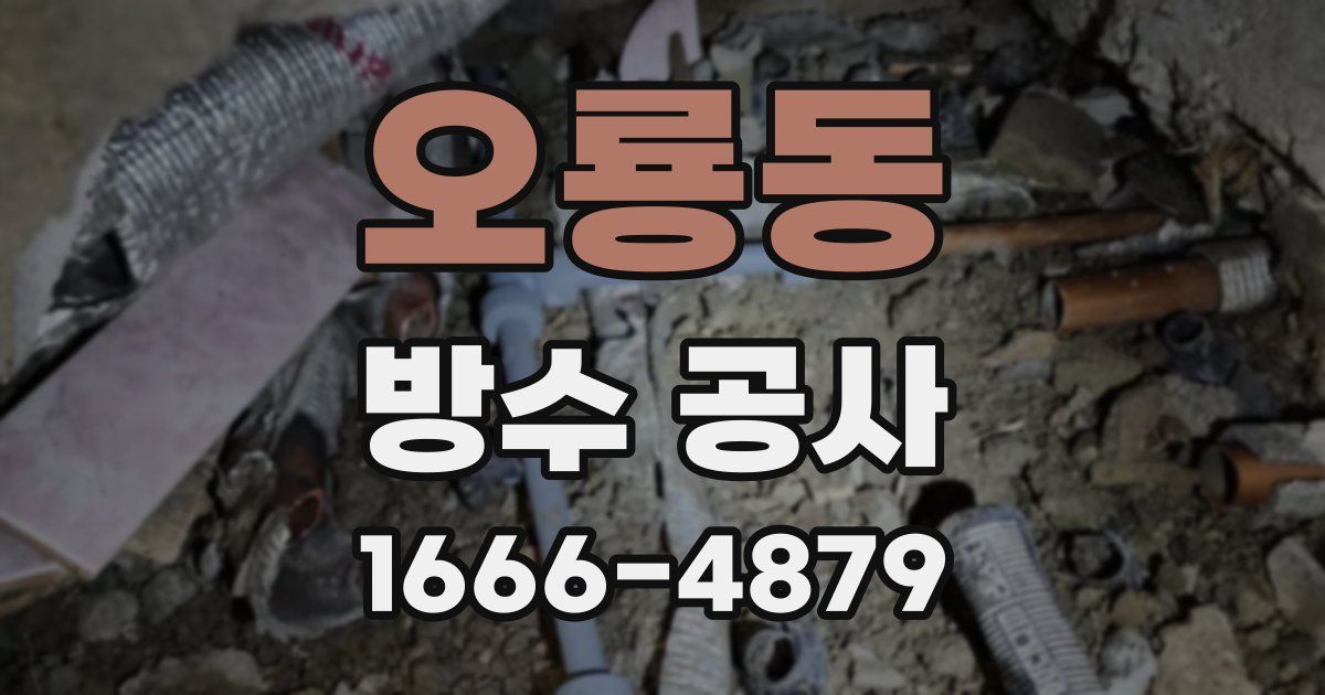 오룡동 방수 공사