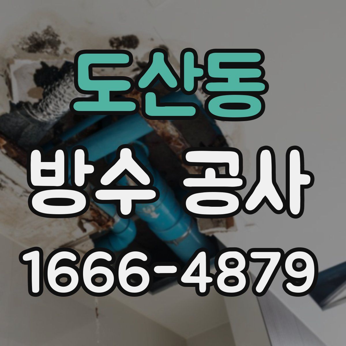 도산동 방수 공사