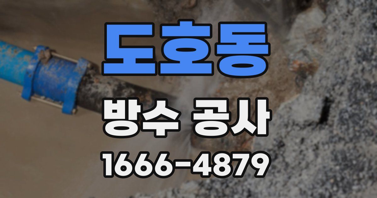 도호동 방수 공사