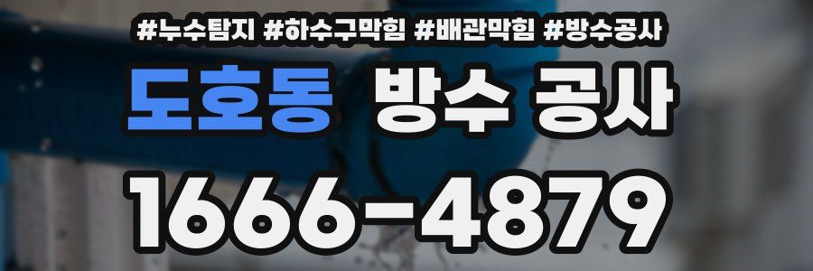 도호동 방수 공사
