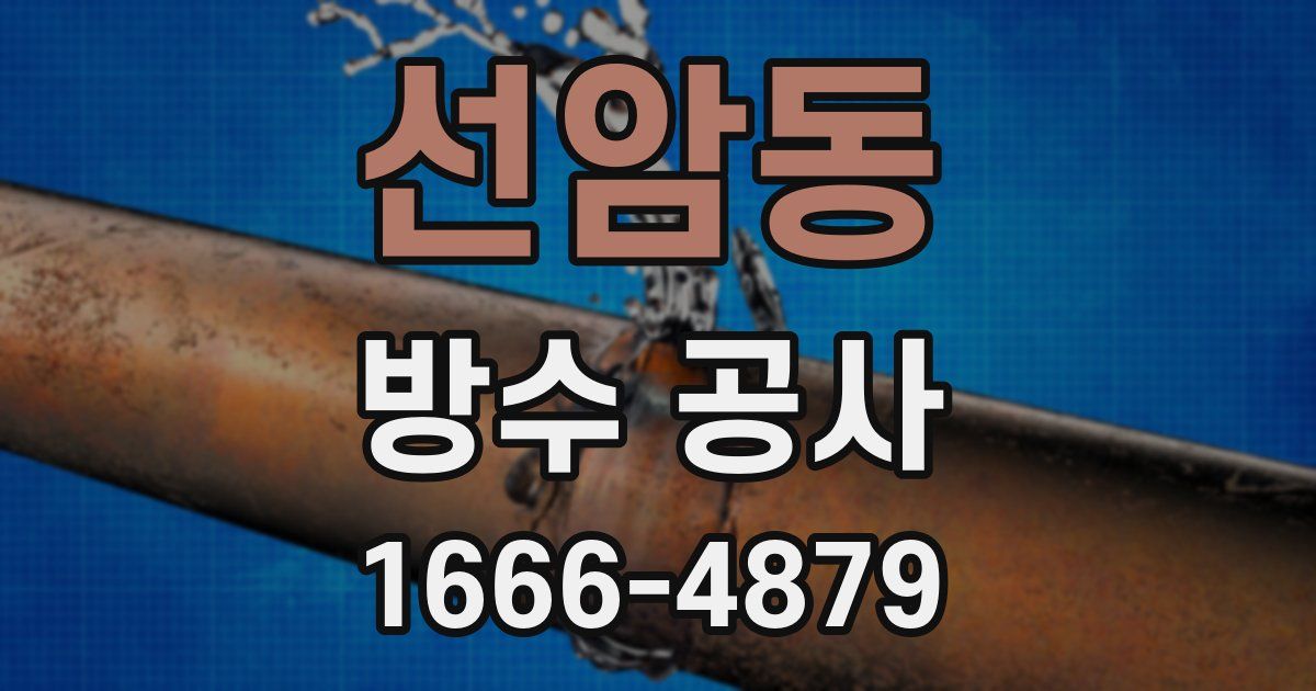 선암동 방수 공사