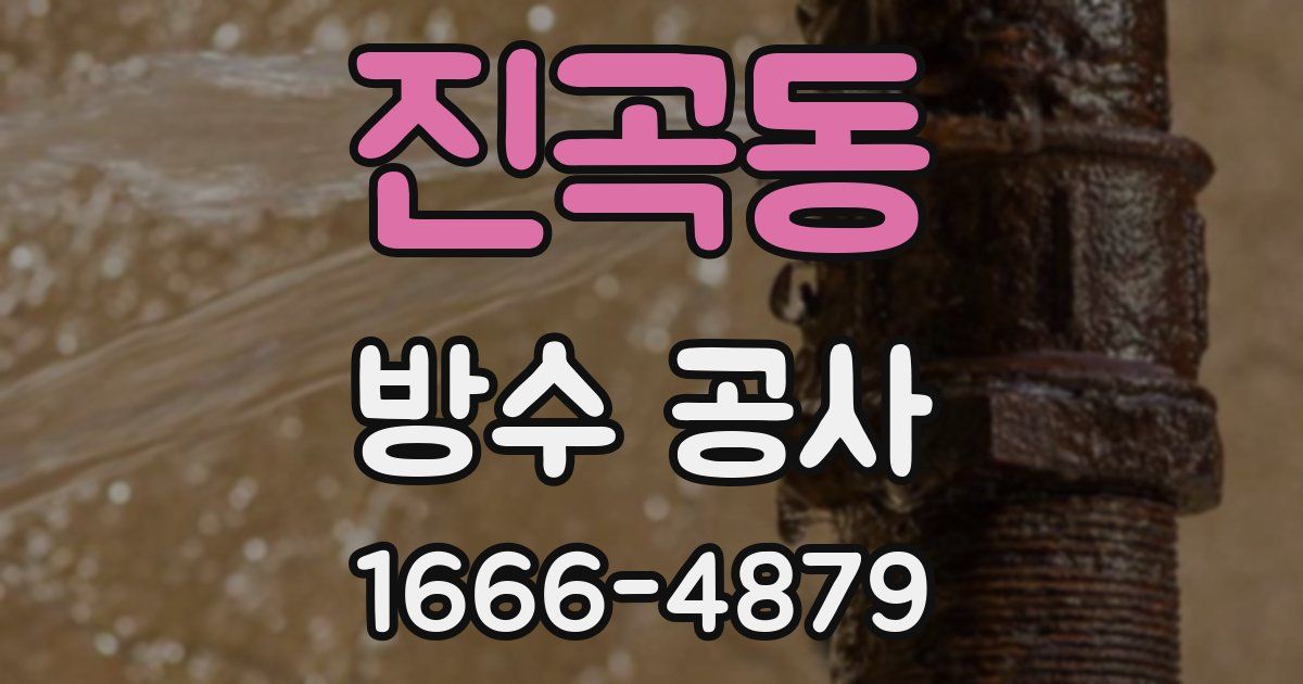 진곡동 방수 공사
