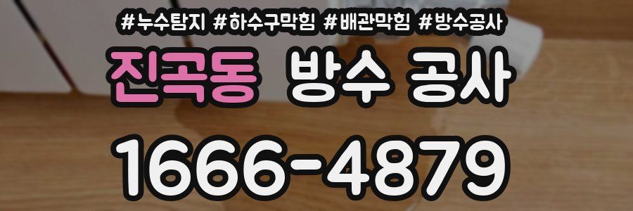 진곡동 방수 공사