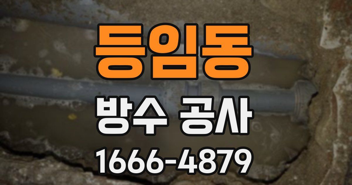 등임동 방수 공사
