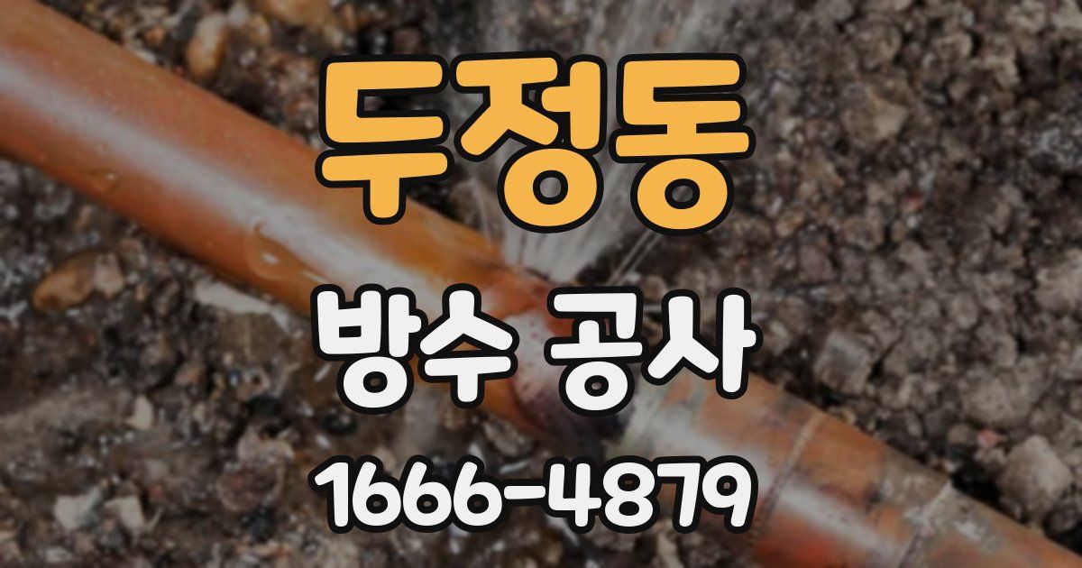 두정동 방수 공사