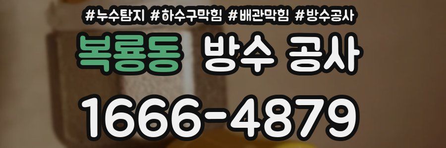 복룡동 방수 공사