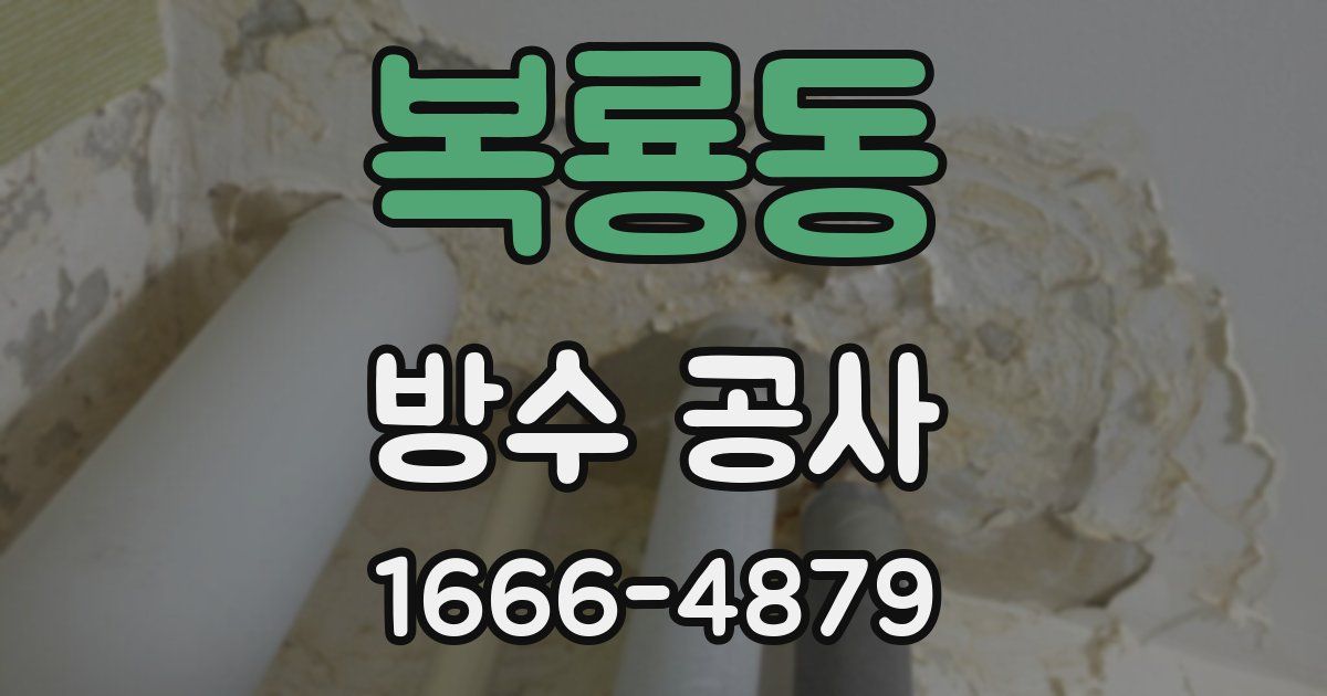 복룡동 방수 공사