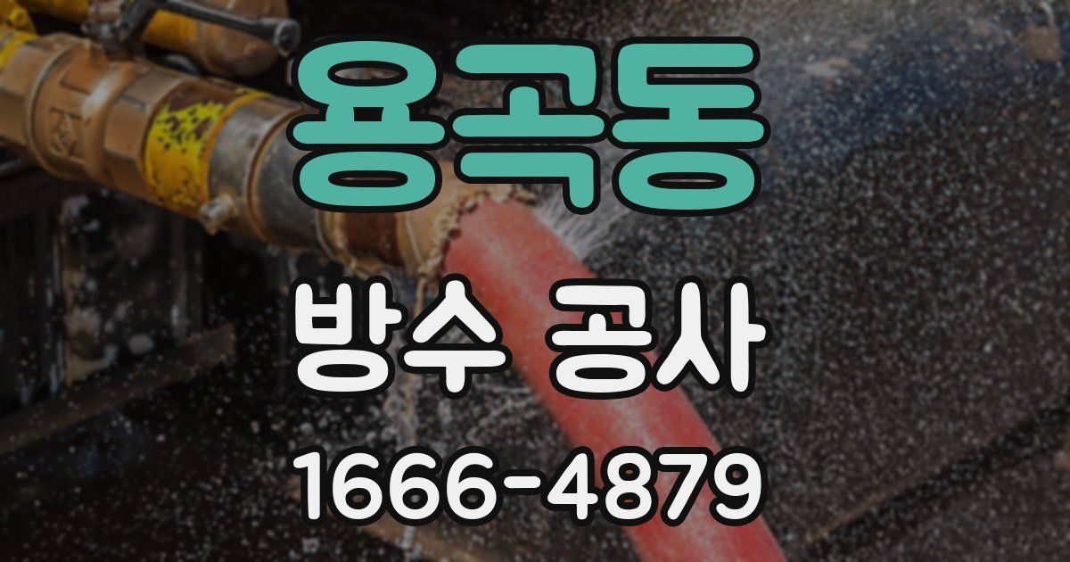 용곡동 방수 공사
