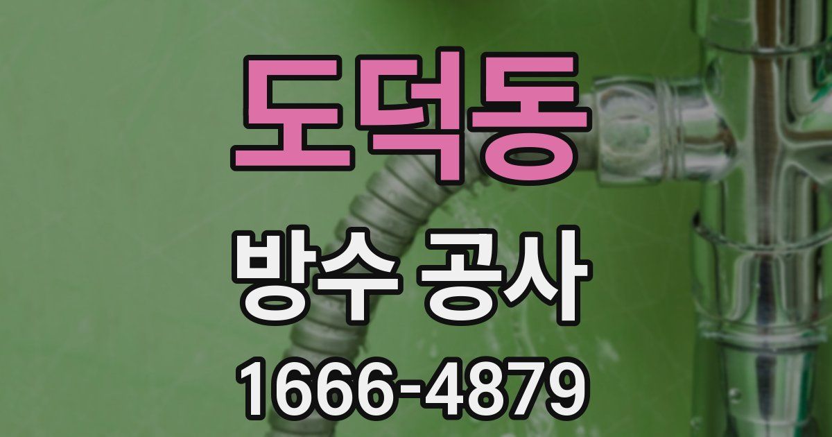 도덕동 방수 공사