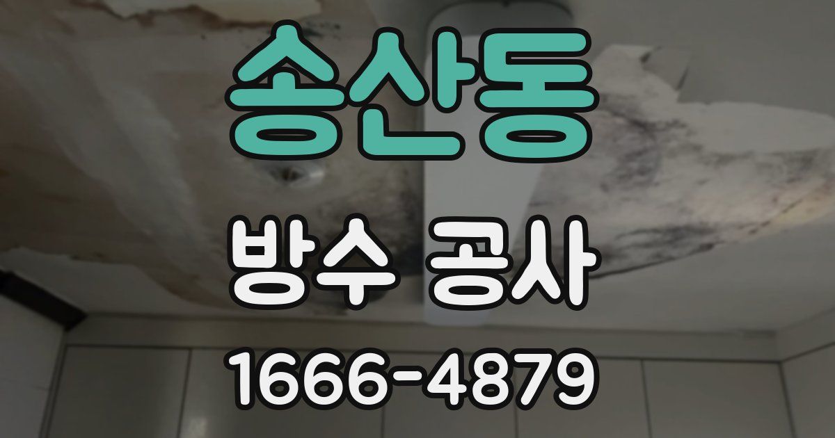 송산동 방수 공사