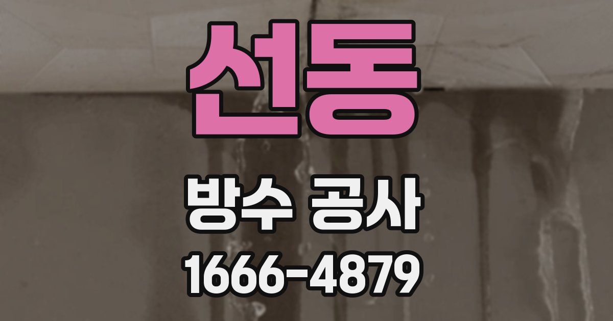 선동 방수 공사