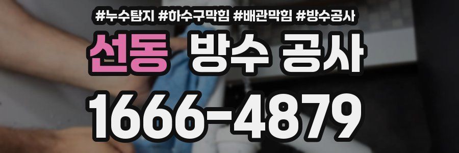 선동 방수 공사