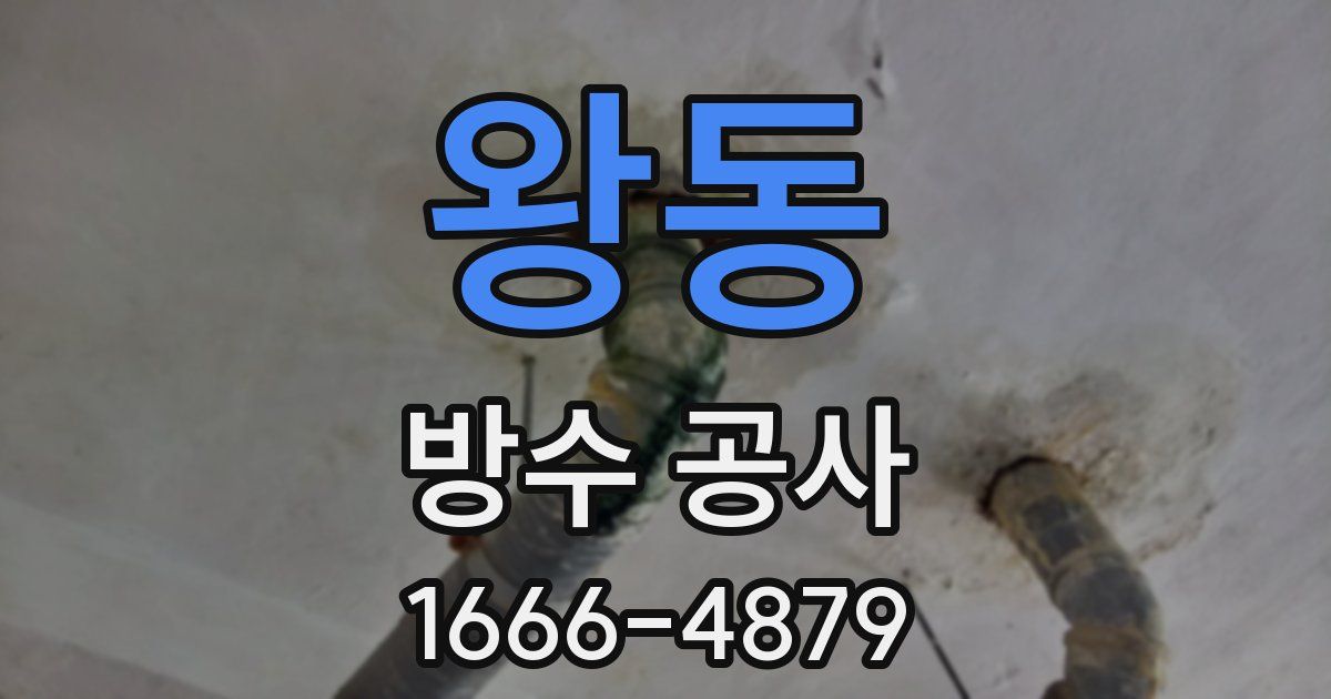 왕동 방수 공사