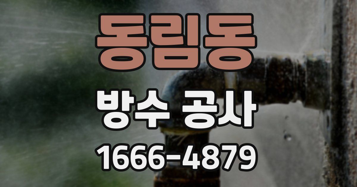 동림동 방수 공사