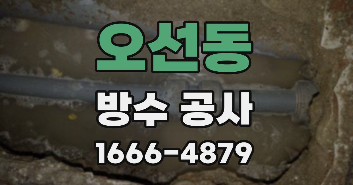 오선동 방수 공사