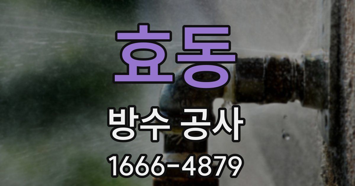 효동 방수 공사