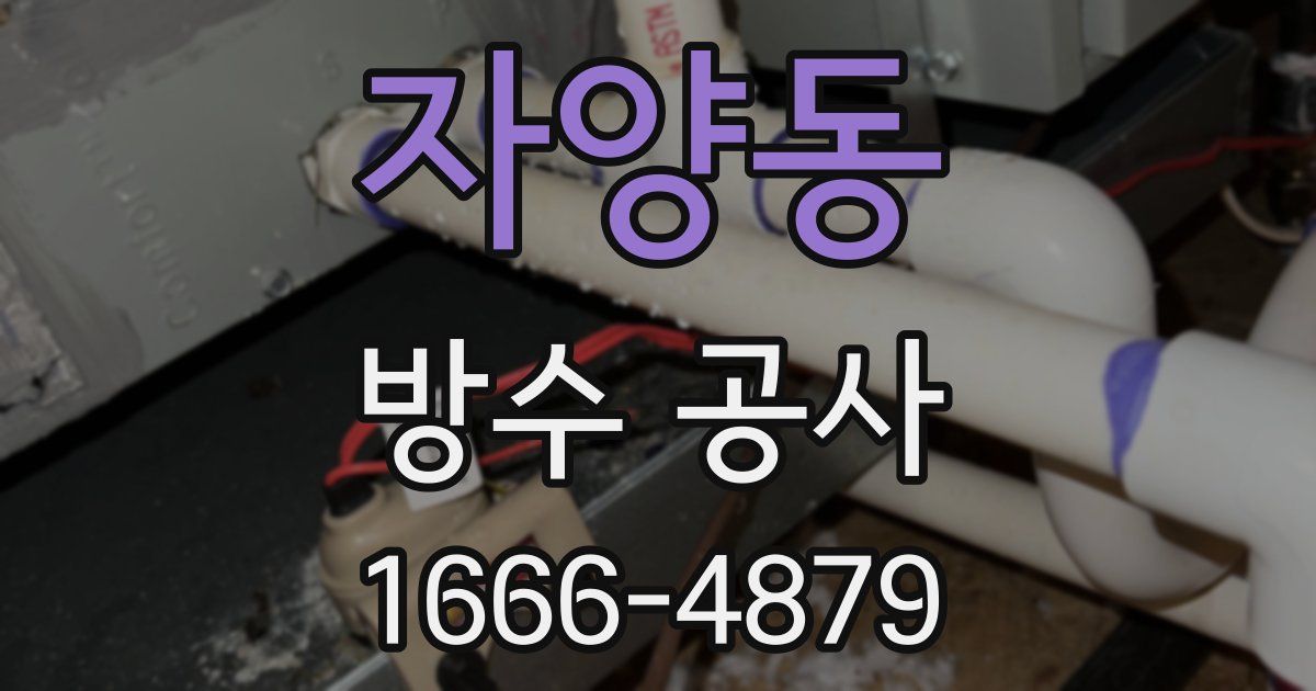 자양동 방수 공사