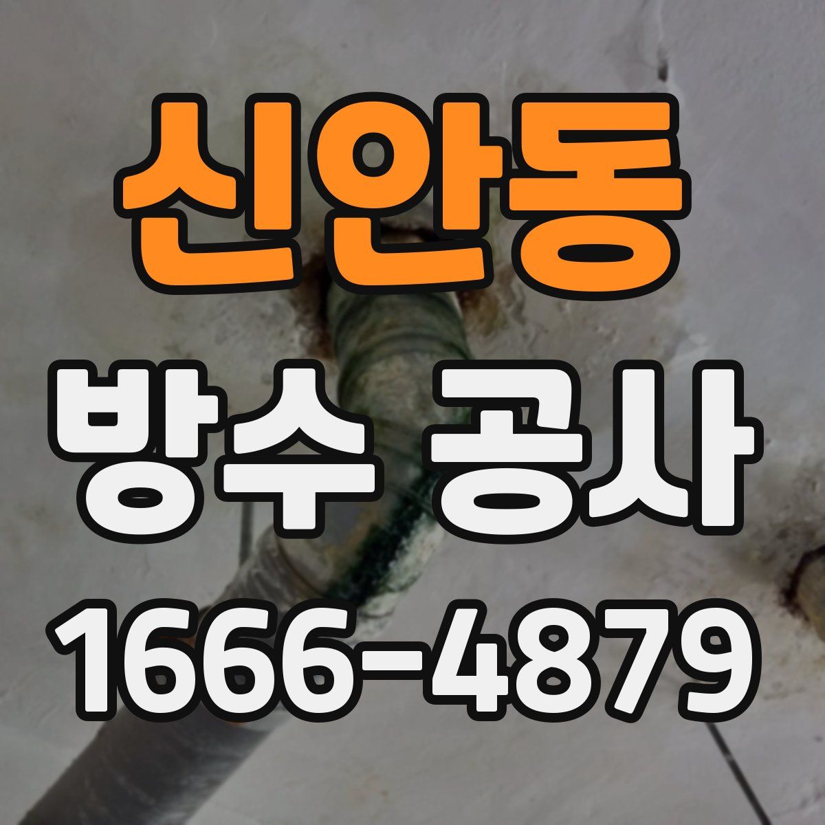 신안동 방수 공사