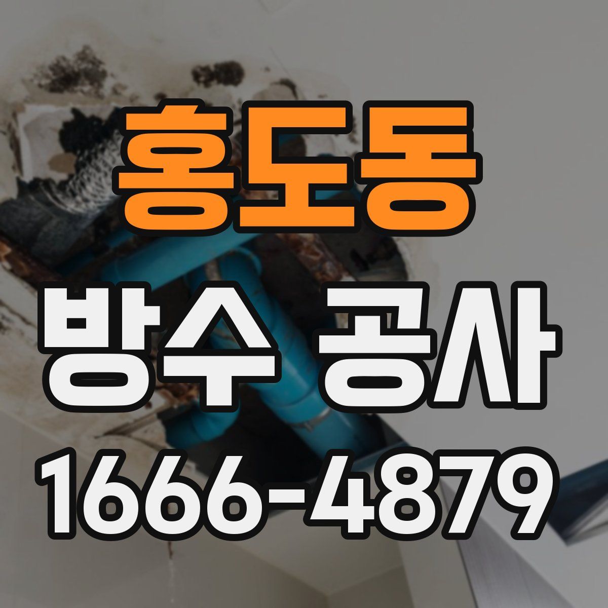 홍도동 방수 공사