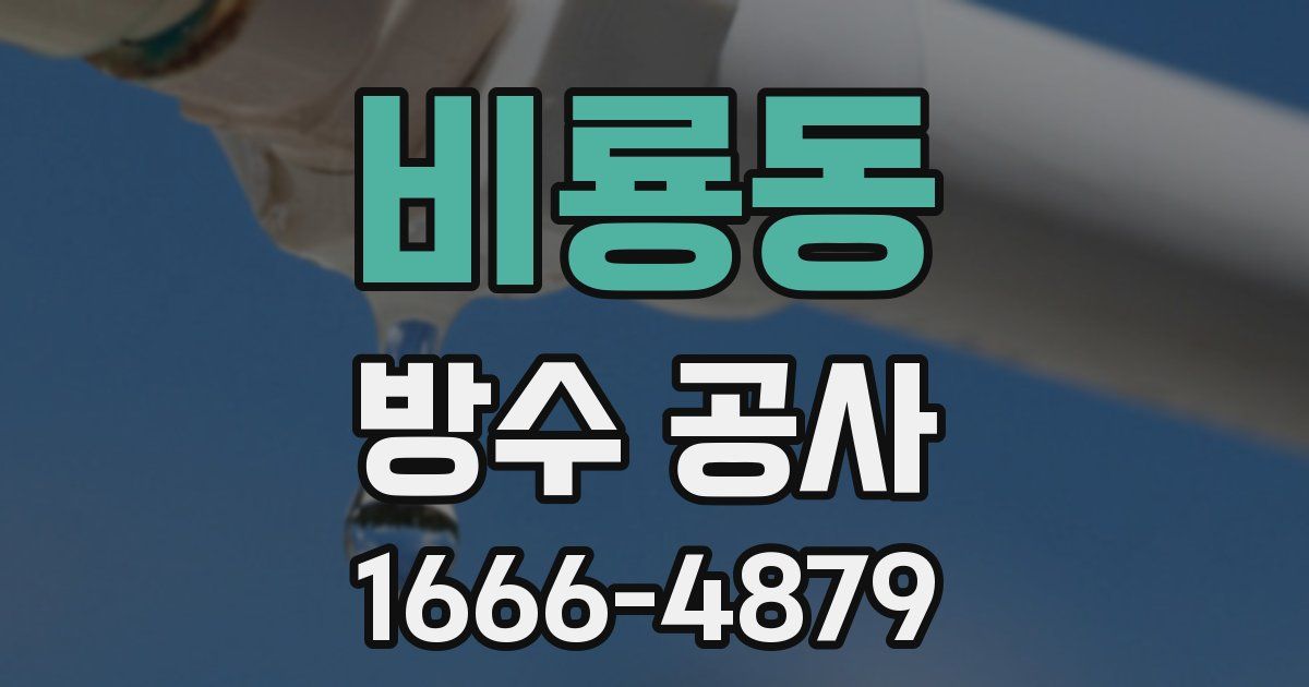 비룡동 방수 공사