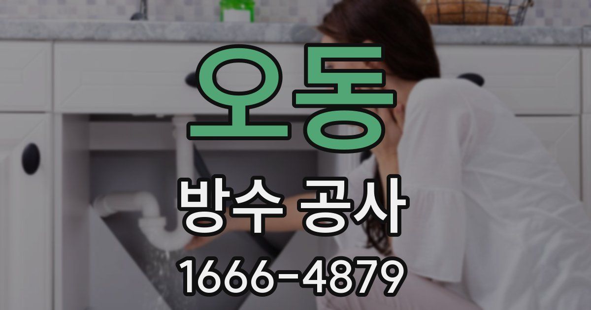 오동 방수 공사