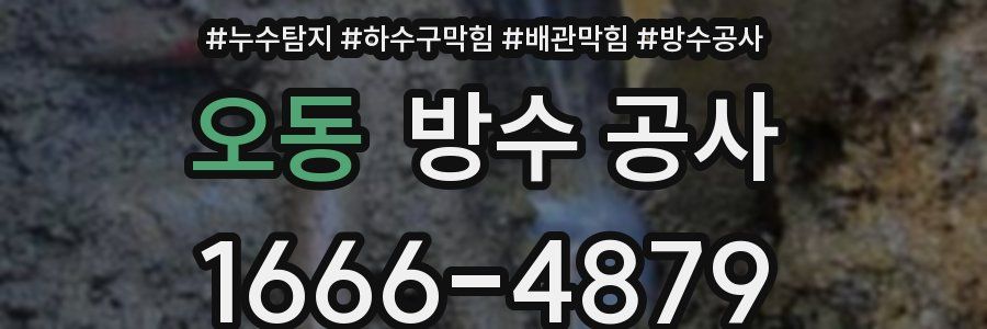 오동 방수 공사