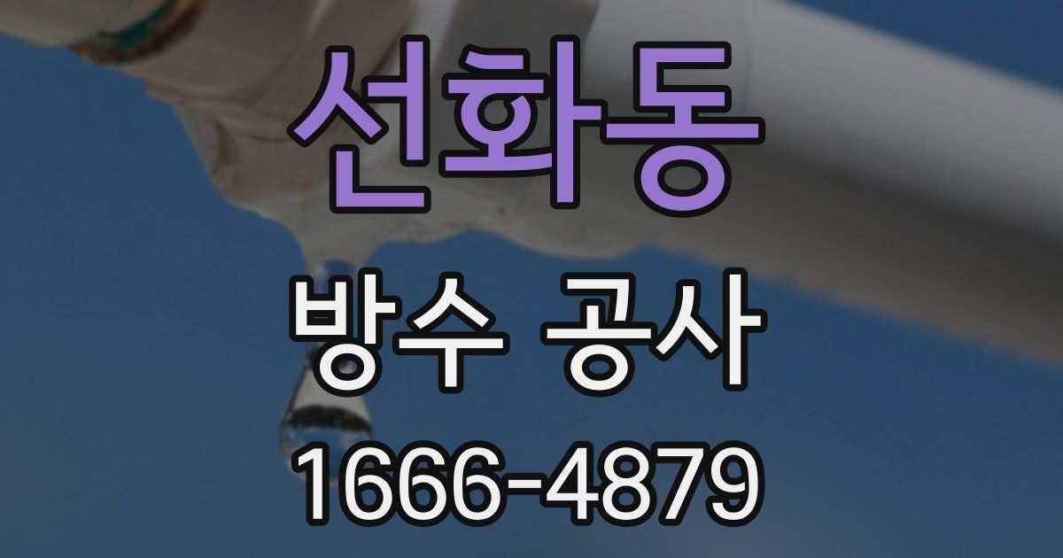 선화동 방수 공사