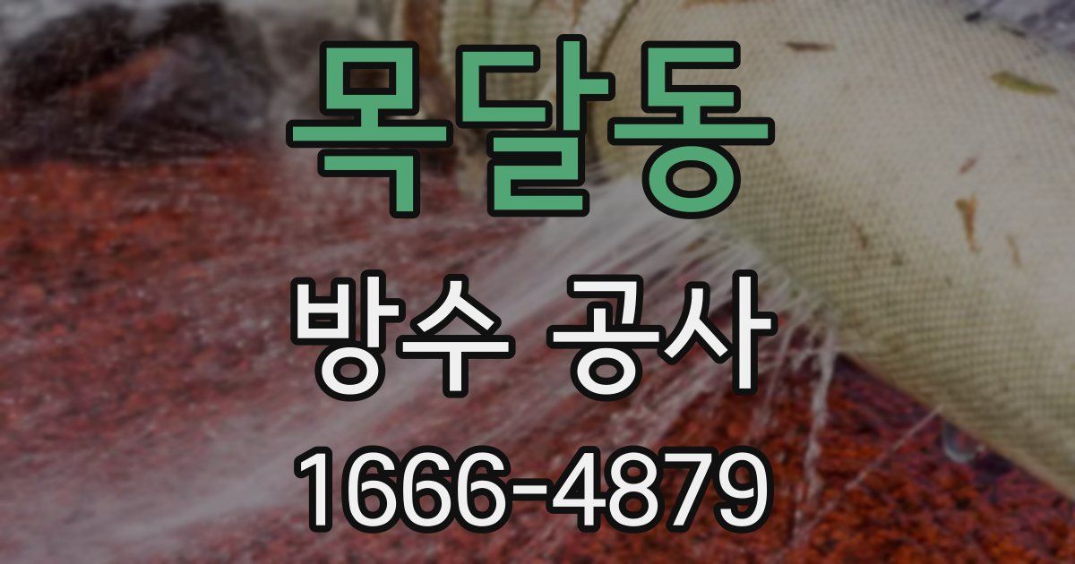 목달동 방수 공사