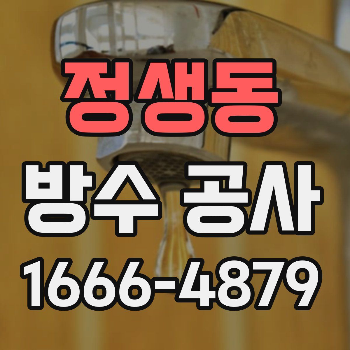정생동 방수 공사