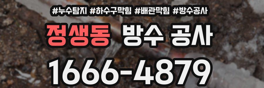 정생동 방수 공사