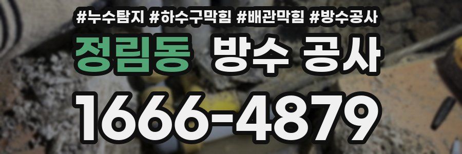 정림동 방수 공사